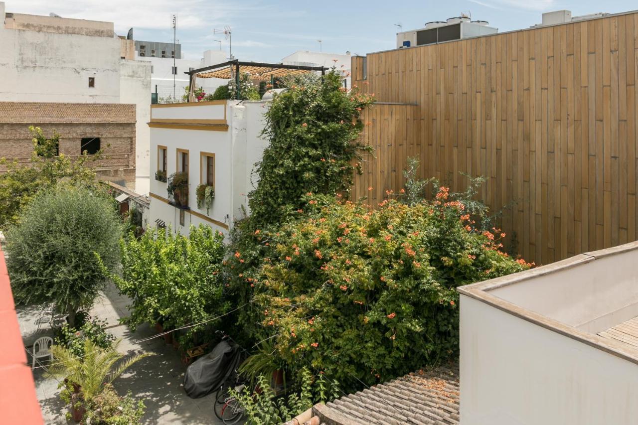 La Casa Del Alfarero Daire Sevilla Dış mekan fotoğraf